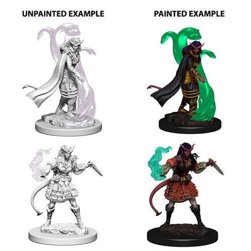 Nolzurs Marvelous Miniatures - Tiefling Sorceror